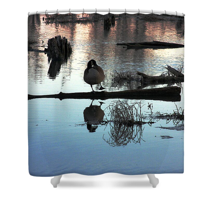 Goose Shower Curtain featuring the photograph Dance Goose Dance by Marie Jamieson
