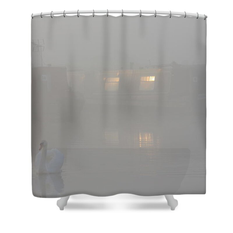 Swan Shower Curtain featuring the photograph Dawn patrol by Linsey Williams
