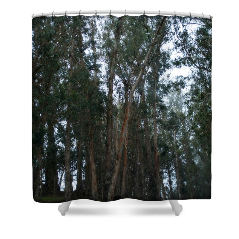Interior Design Shower Curtain featuring the photograph Deep Inside The Forest by Paulette B Wright