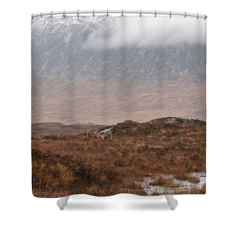 Rannoch Moor Shower Curtain featuring the photograph Deer Southern Highlands by Gary Eason