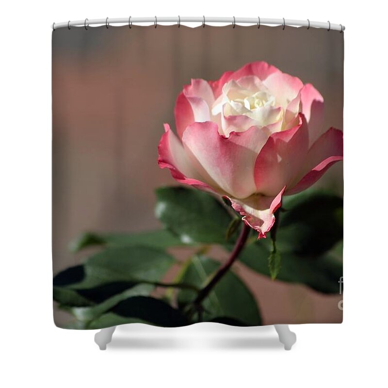 Rose Shower Curtain featuring the photograph Delany Sister by Living Color Photography Lorraine Lynch
