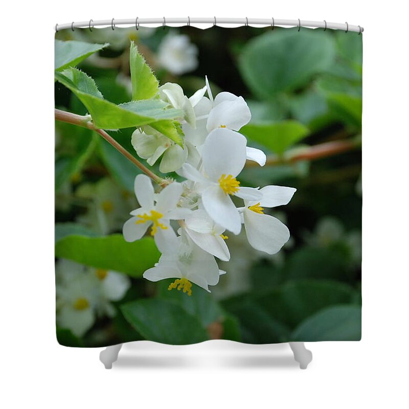Flower Shower Curtain featuring the photograph Delicate White Flower by Jennifer Ancker