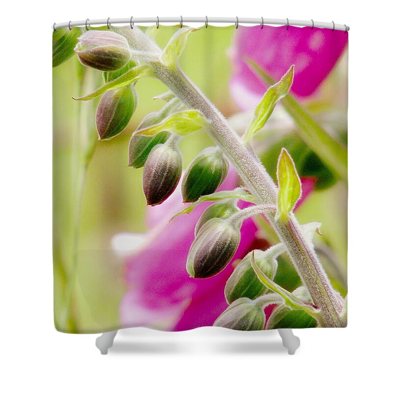 Foxglove Shower Curtain featuring the photograph Discussing When To Bloom by Rory Siegel