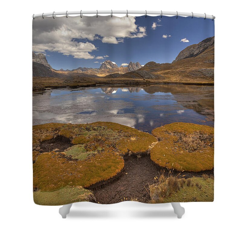 00498209 Shower Curtain featuring the photograph Distichia Cushion Plant And Plantain by Colin Monteath