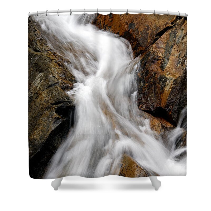 Detail Shower Curtain featuring the photograph Division - D005335 by Daniel Dempster