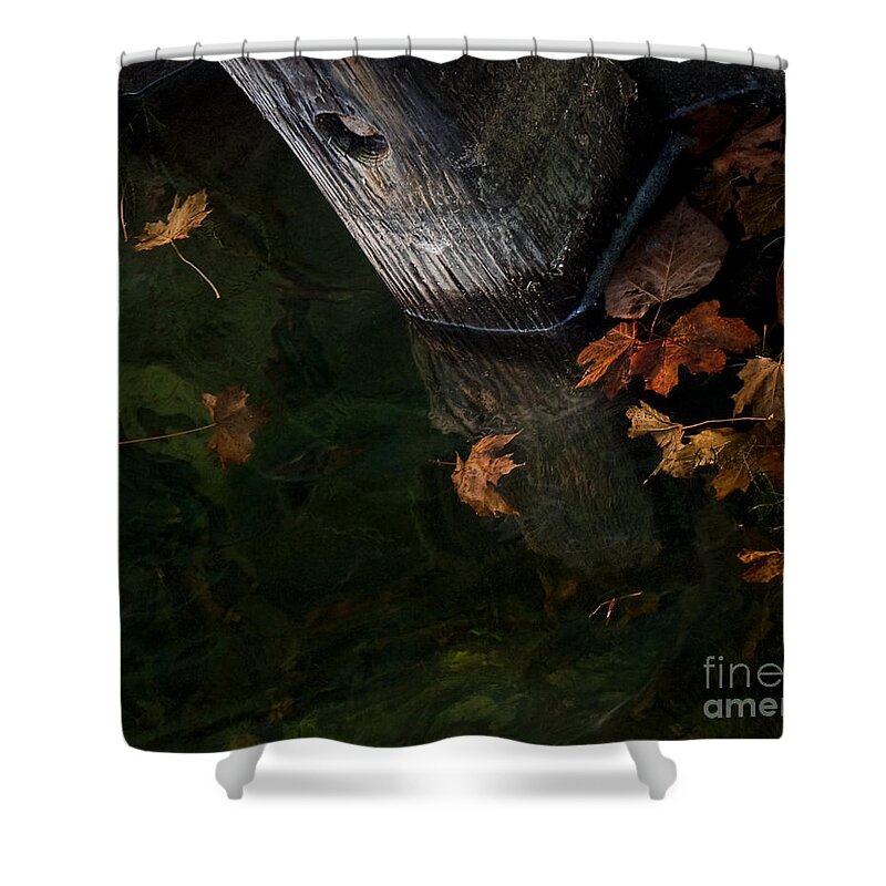 Dock Shower Curtain featuring the photograph Dockside by Terry Doyle