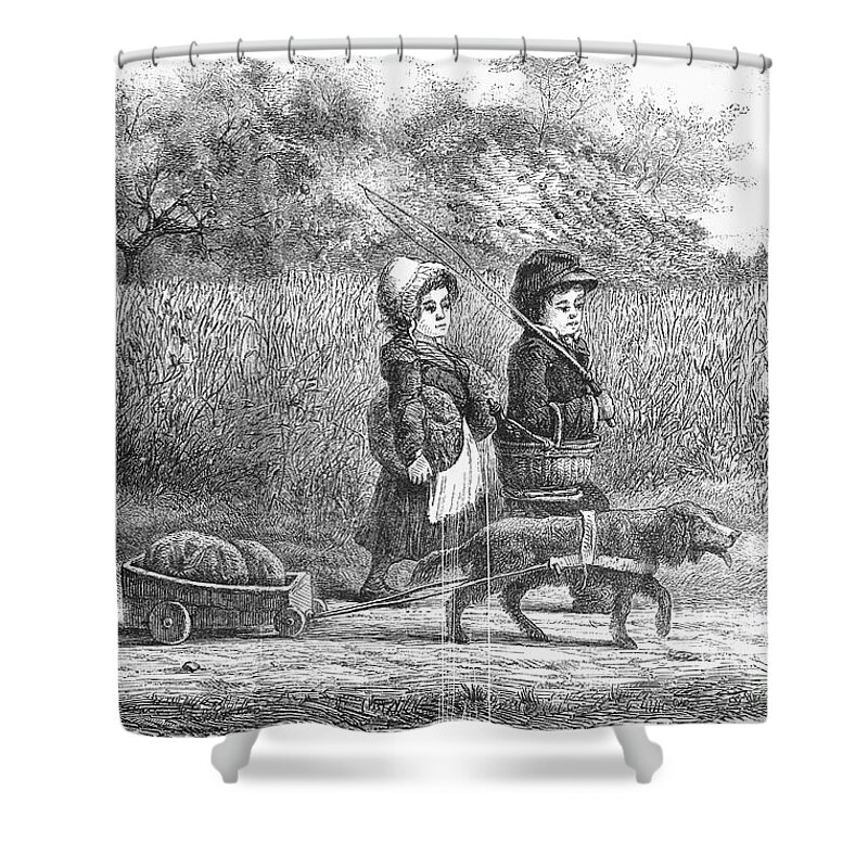 19th Century Shower Curtain featuring the photograph DOG CART, 19th CENTURY by Granger