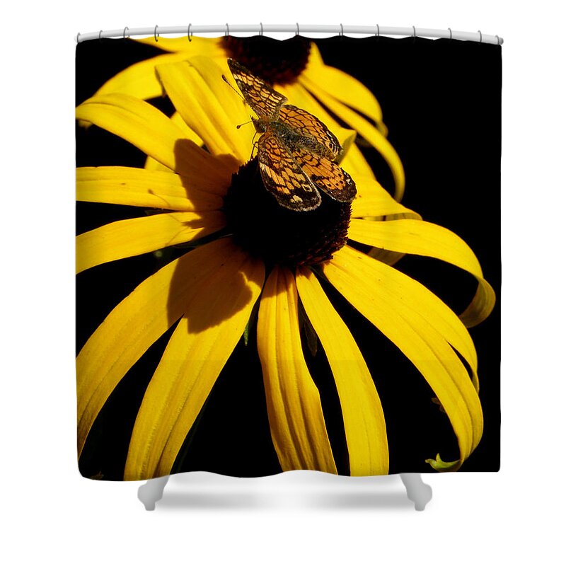 Butterfly Shower Curtain featuring the photograph Double yellow Delight with a surprise by Kim Galluzzo