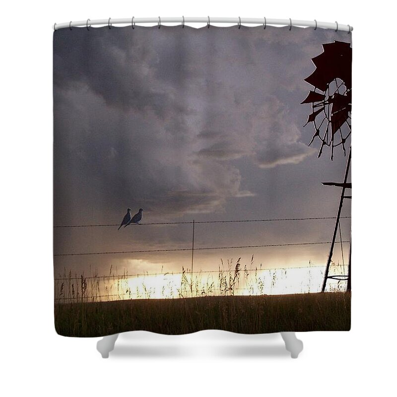 Birds Shower Curtain featuring the photograph Dove Love by Bill Stephens