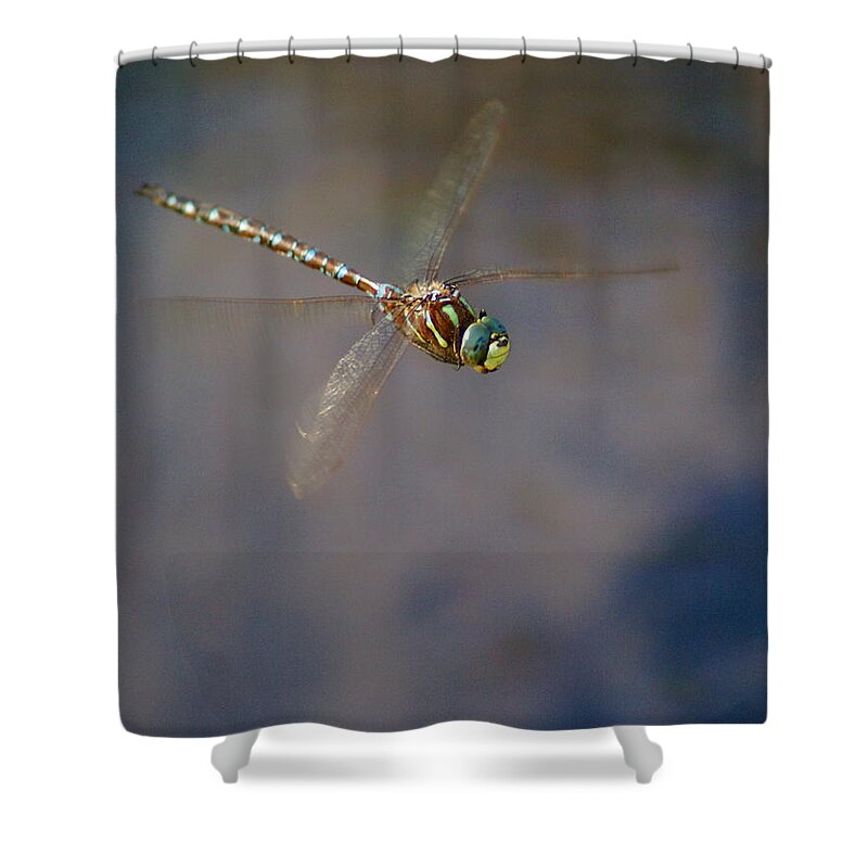 Dragonfly Shower Curtain featuring the photograph Dragonfly 2012 by Ben Upham III