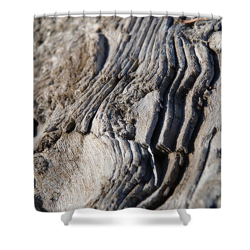 Driftwood Shower Curtain featuring the photograph Driftwood by Michael Merry