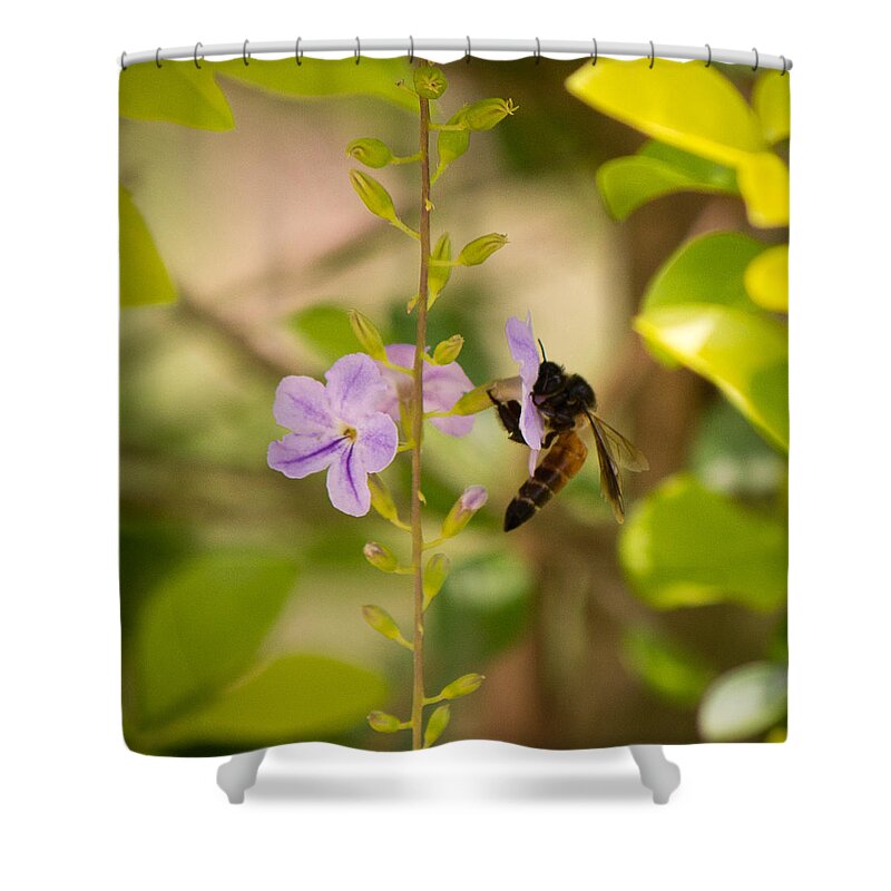 Drink Shower Curtain featuring the photograph Drinking away by SAURAVphoto Online Store