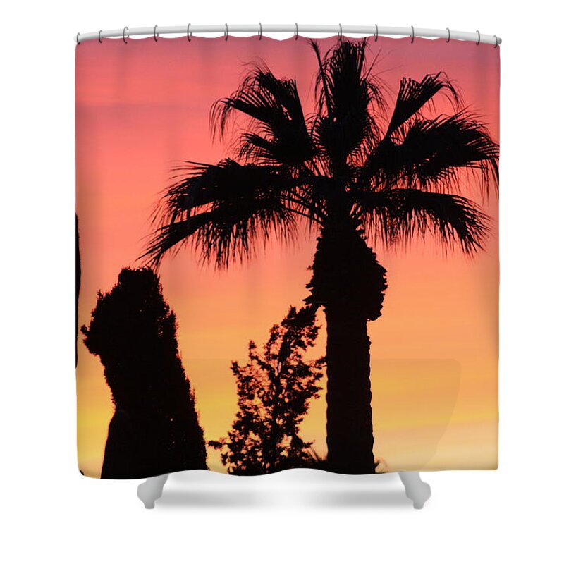 Arizona Shower Curtain featuring the photograph Dynamic Sunset by Kim Galluzzo
