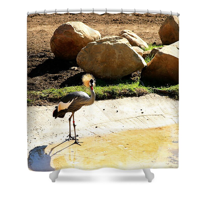 Bird Shower Curtain featuring the photograph East African Crowned Crane by Henrik Lehnerer