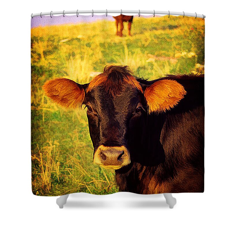 Agriculture Shower Curtain featuring the photograph Eat More Chicken by Darren Fisher