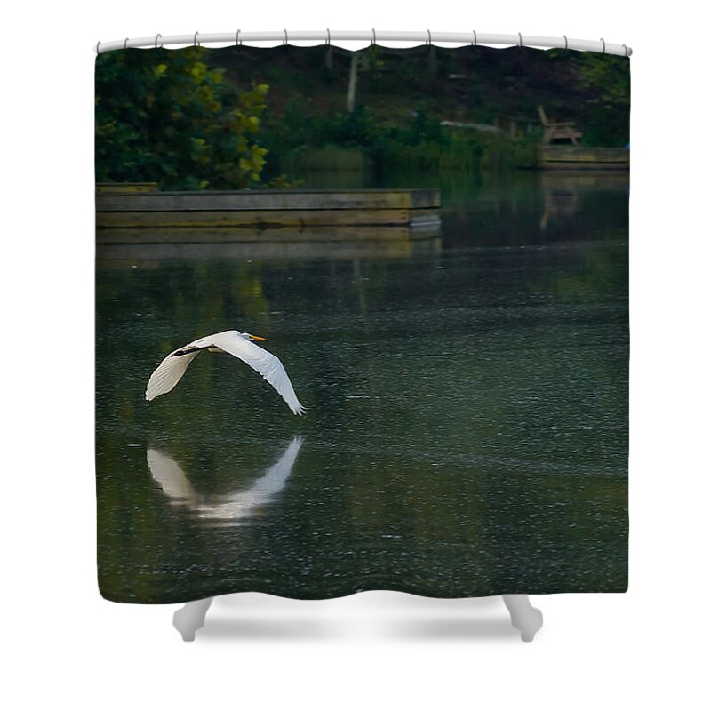 Mountain Run Lake Shower Curtain featuring the photograph Egret Flying Over Lake by Lori Coleman