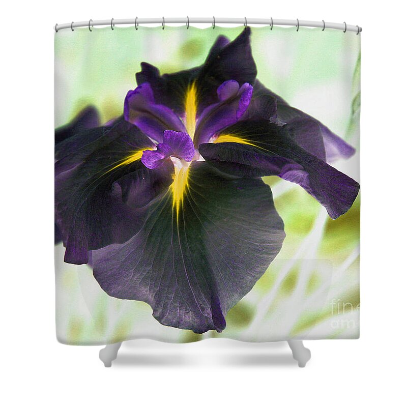 Flower Shower Curtain featuring the photograph Electric Japanese Iris by Smilin Eyes Treasures