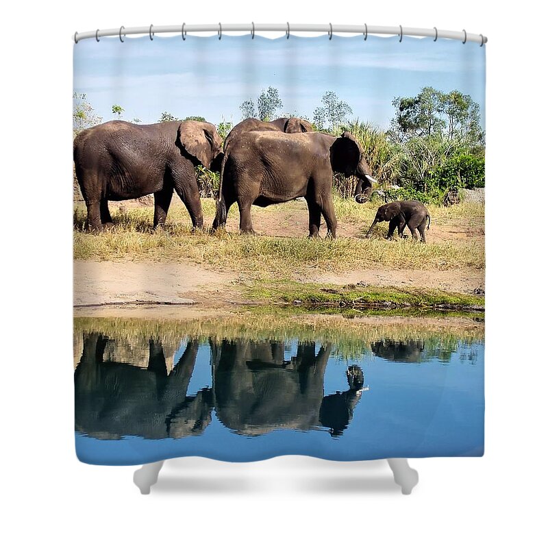 Animal Shower Curtain featuring the photograph Elephants by Jenny Hudson