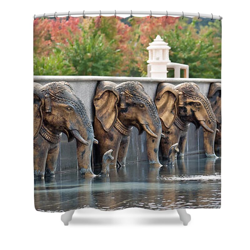 Elephants Shower Curtain featuring the photograph Elephants of the Mandir by Angie Schutt
