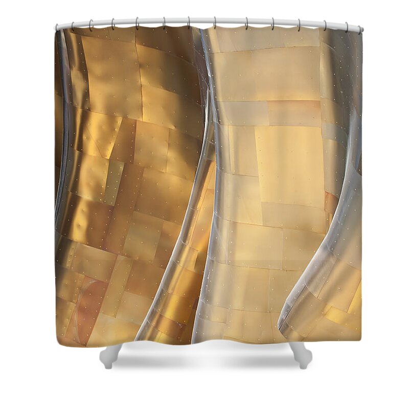 Emp Shower Curtain featuring the photograph EMP Fools Gold by Chris Dutton