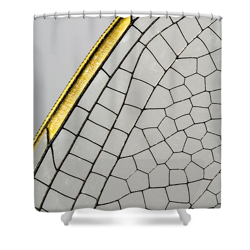 Fn Shower Curtain featuring the photograph Emperor Dragonfly Anax Imperator Wing by Bert Pijs