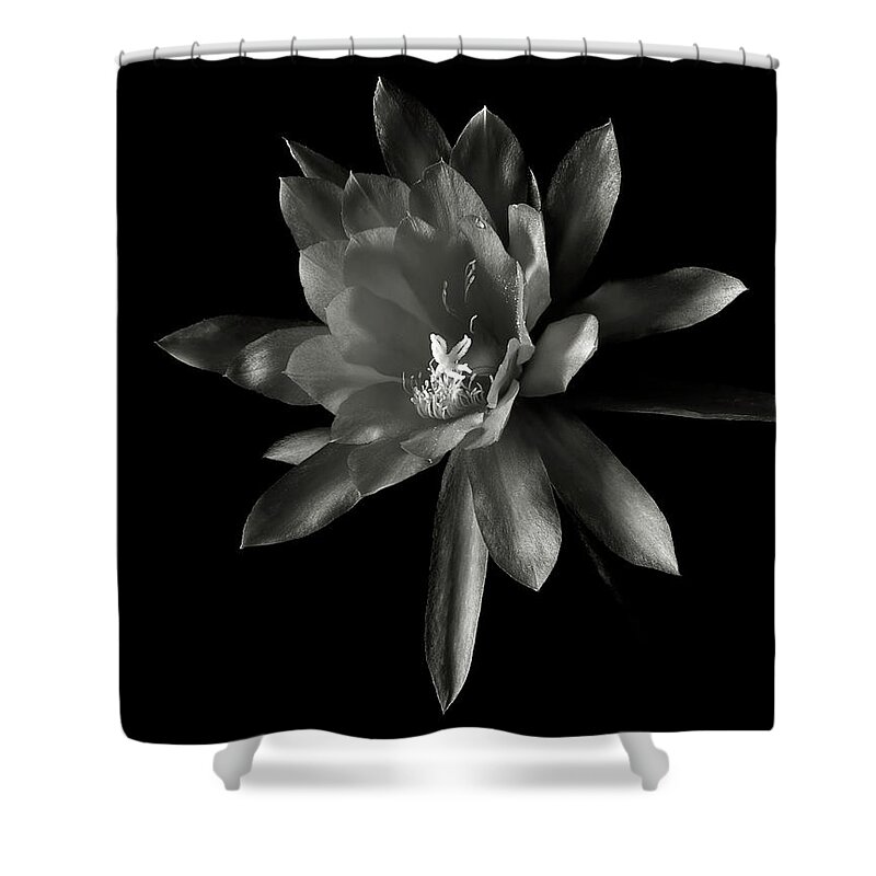 Flower Shower Curtain featuring the photograph Epyphylum Padre in Black and White by Endre Balogh