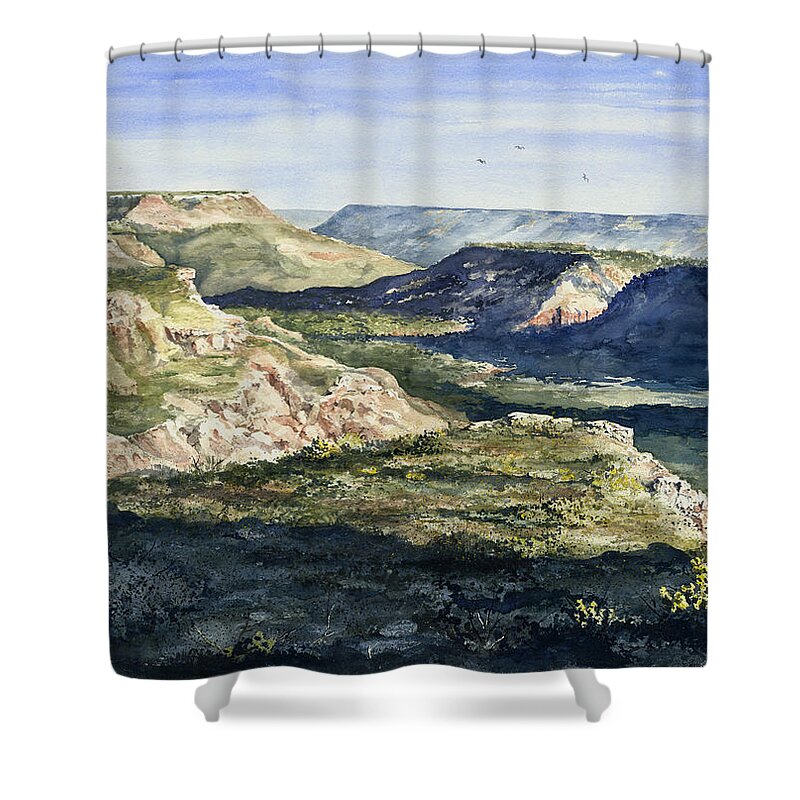 Canyon Shower Curtain featuring the painting Evening Flight Over Palo Duro Canyon by Sam Sidders