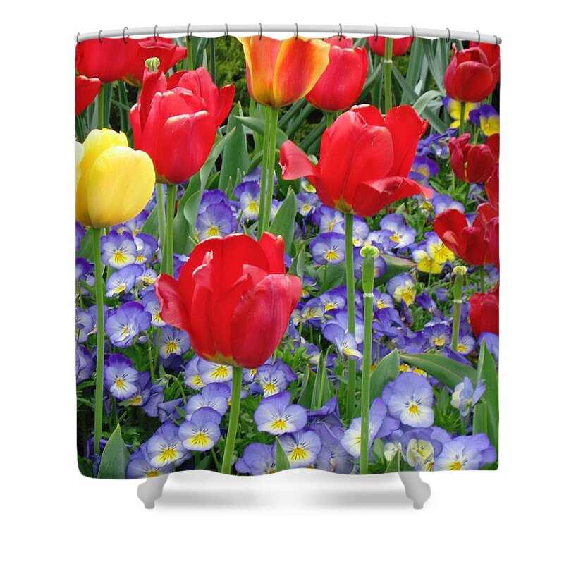 Flowers Shower Curtain featuring the photograph Exultation by Rory Siegel