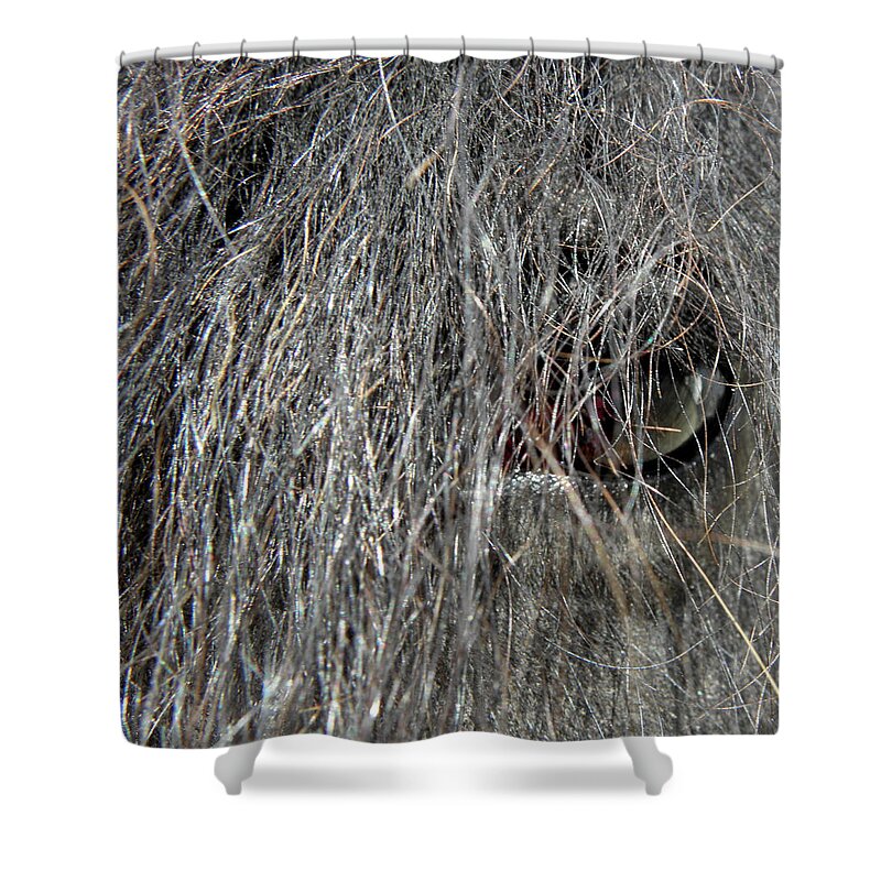 Eye Shower Curtain featuring the photograph Eye of Beauty by Kim Galluzzo