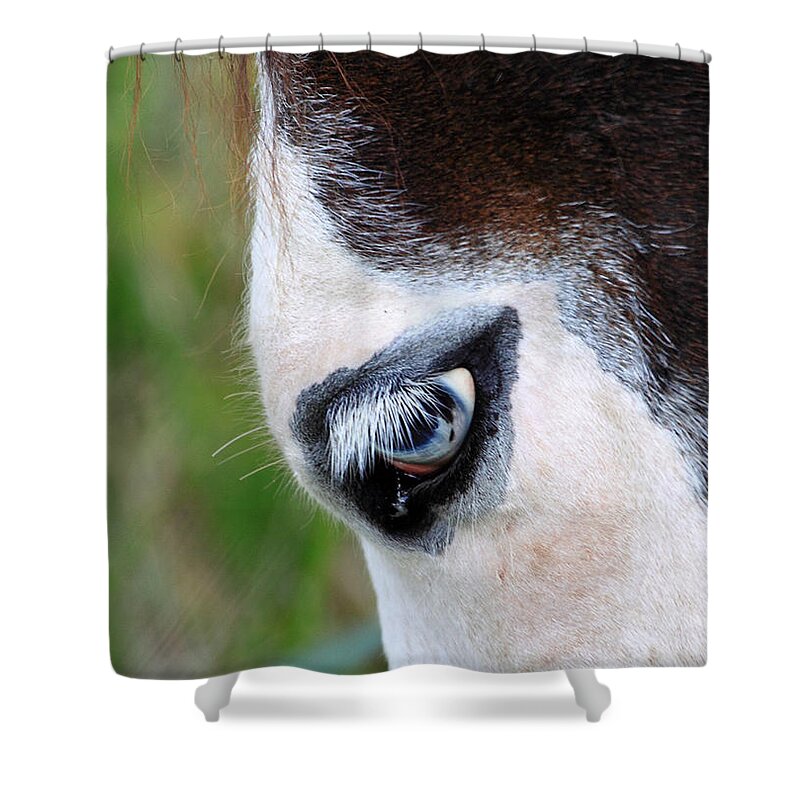  Shower Curtain featuring the photograph 'Eye of Ghostface' by PJQandFriends Photography