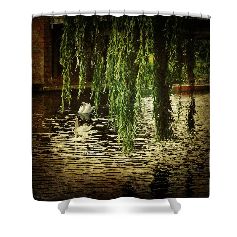 Swans Shower Curtain featuring the photograph Faithfully by Lianne Schneider