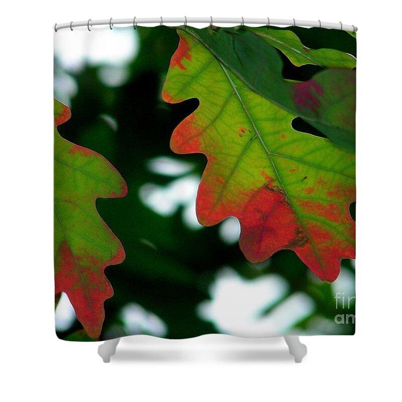 Leaves Shower Curtain featuring the photograph Fall L eaves by Mark Gilman