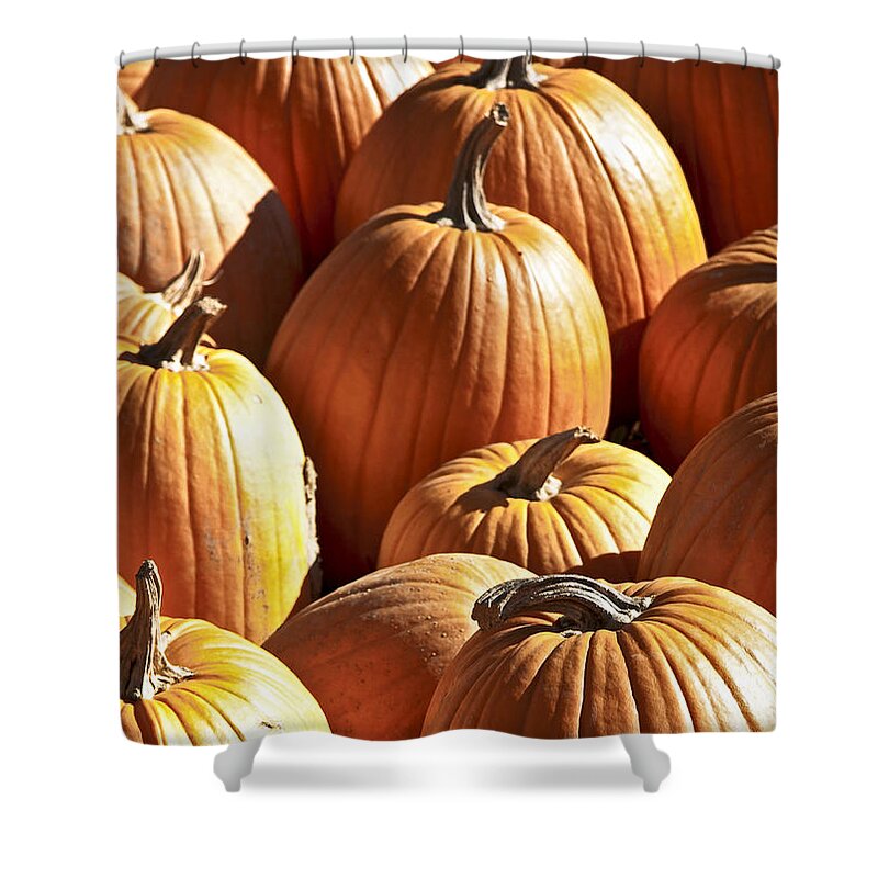 Fall Shower Curtain featuring the photograph Fall Pumpkins by Brenda Giasson