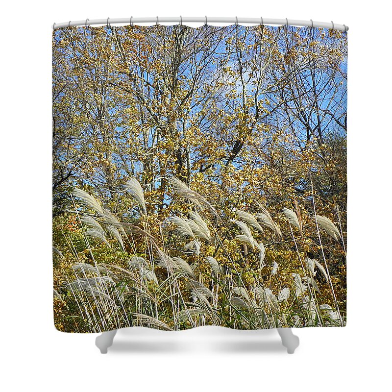 Fall Shower Curtain featuring the photograph Fall scape in Connecticut by Kim Galluzzo Wozniak