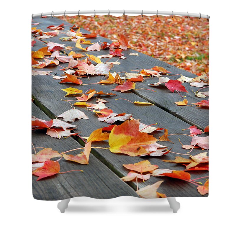 Landscape Shower Curtain featuring the photograph Fallen Leaves by Lisa Phillips
