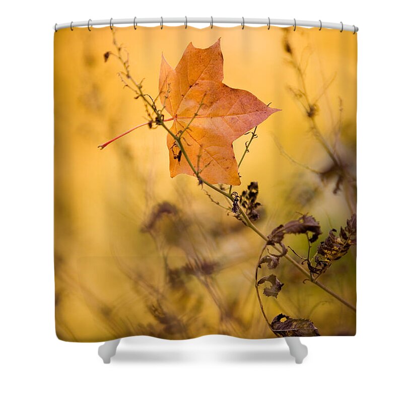 Luonto Shower Curtains