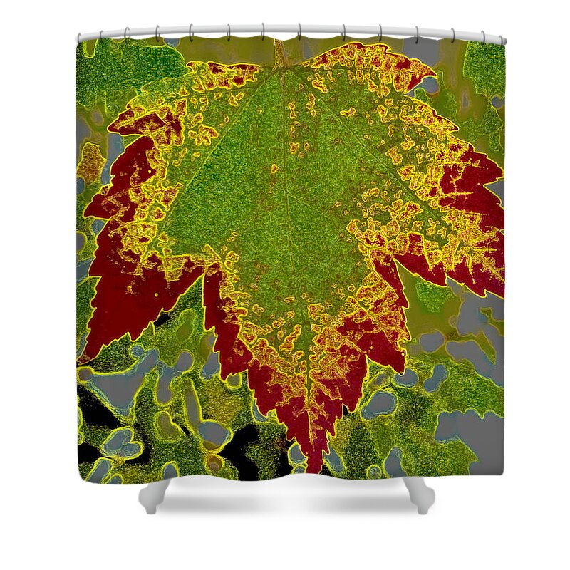 Fall Shower Curtain featuring the photograph Falling by Kathy Bassett