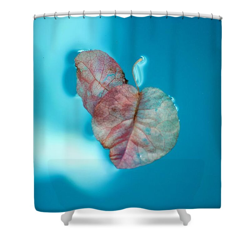 Bougainvillea Shower Curtain featuring the photograph Fate Floats by Leigh Meredith