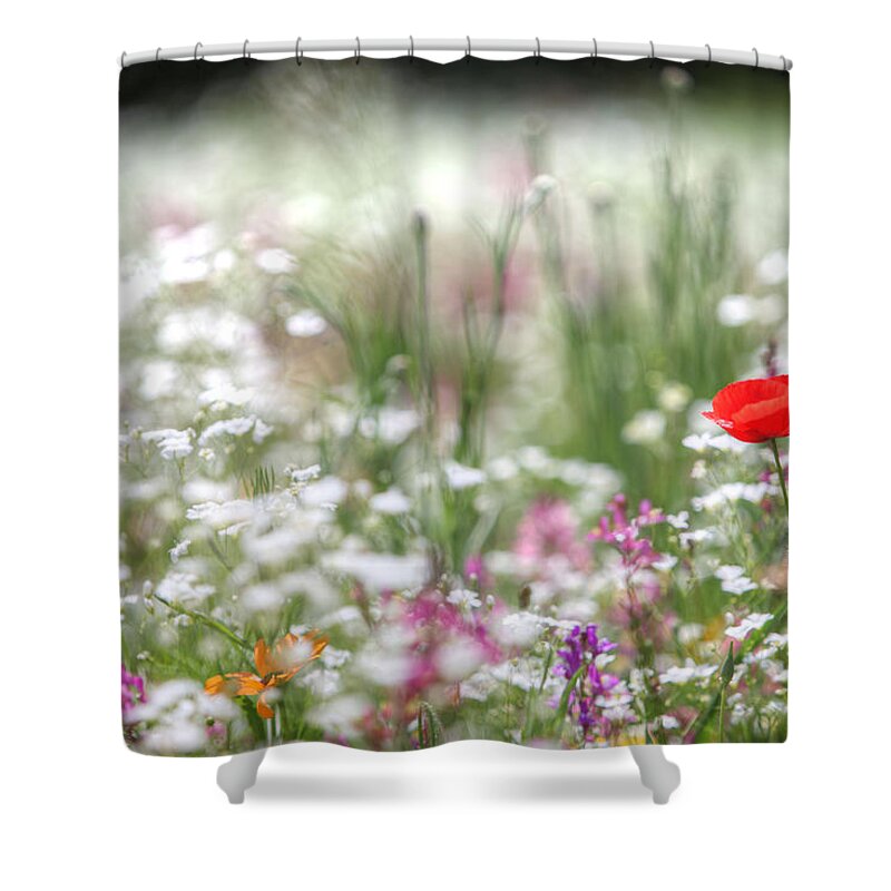 Flowers Shower Curtain featuring the photograph Field of Flowers by Steve Gravano