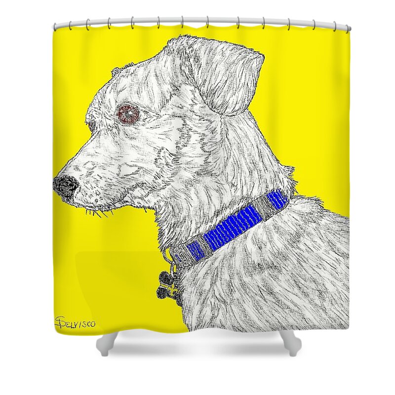 Chihuahua Shower Curtain featuring the digital art Finn in color by Salvadore Delvisco