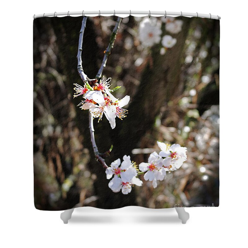 Altered Shower Curtain featuring the photograph First Sakura Branch by Laura Iverson