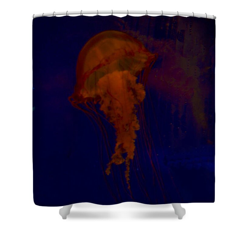 Jelly Fish Shower Curtain featuring the photograph Floating Along by Donna Brown