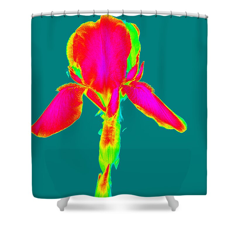 Computer Generated Photo Shower Curtain featuring the photograph Flora Color explosion by Kim Galluzzo