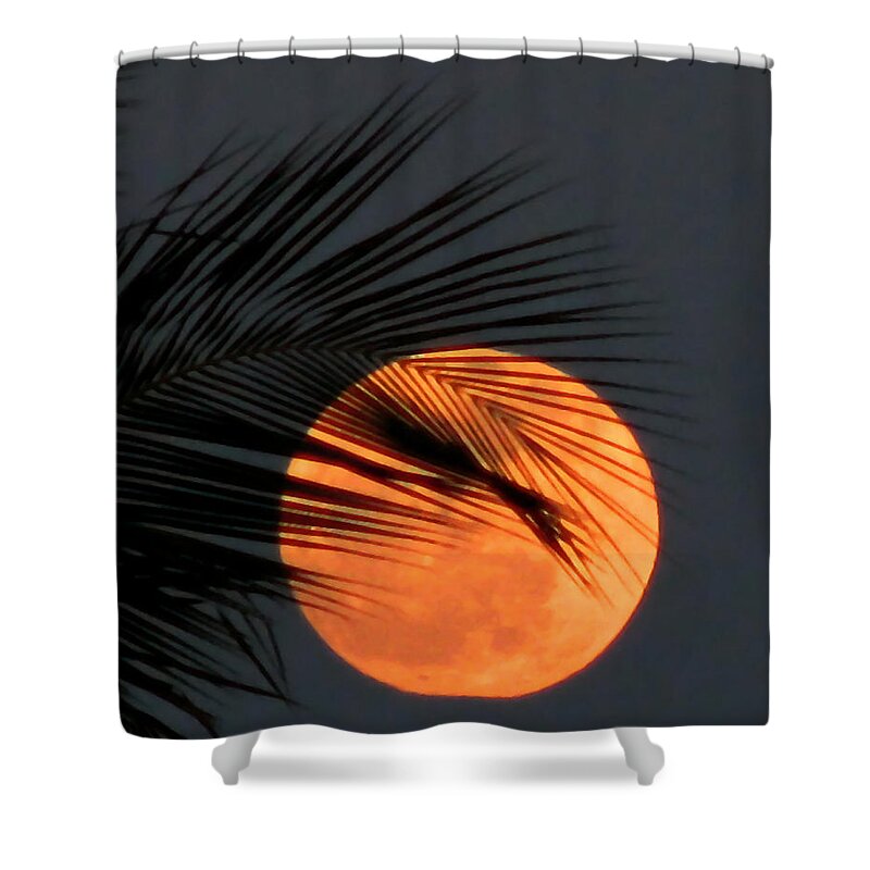 Nature Shower Curtain featuring the photograph Florida Moonrise by Peggy Urban