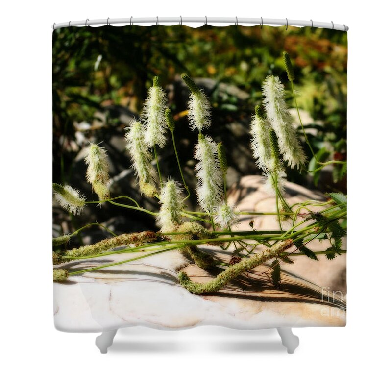 Flowers Shower Curtain featuring the photograph Flowers In The Sunshine by Smilin Eyes Treasures