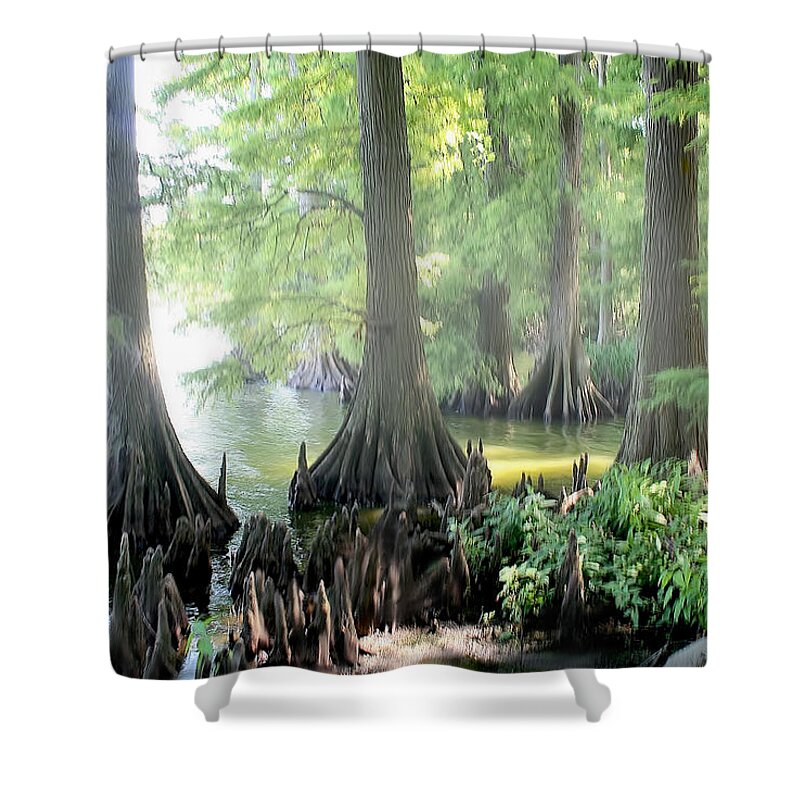 Reelfoot Lake Shower Curtain featuring the photograph Foggy Reelfoot Lake by Bonnie Willis