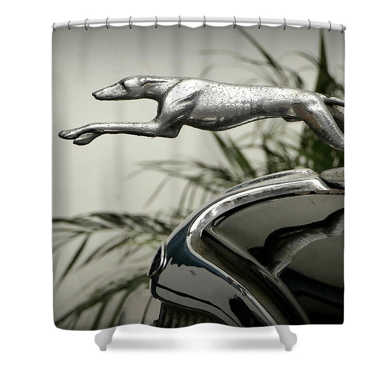 Greyhound Shower Curtain featuring the photograph Ford Greyhound Radiator Cap by Karyn Robinson