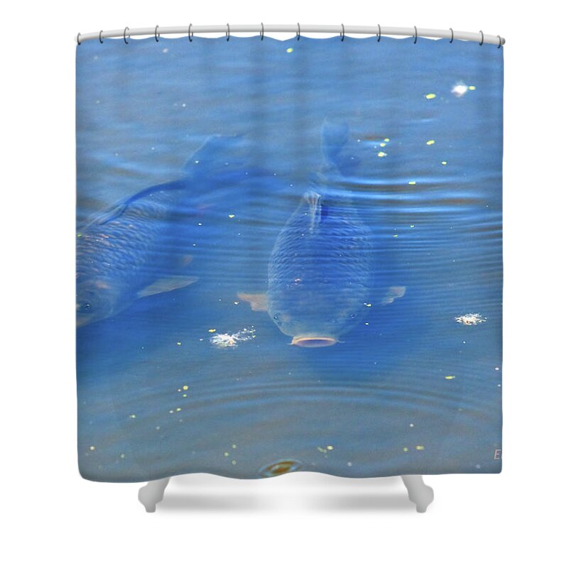 Fish Shower Curtain featuring the photograph Friends Forever by Ed Peterson