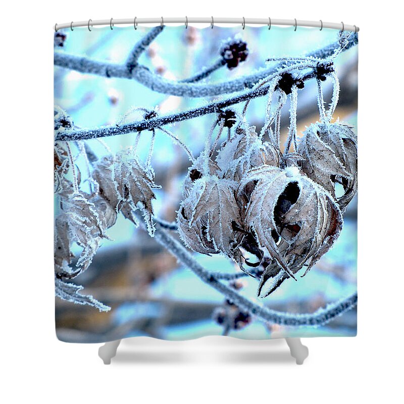 Nature Shower Curtain featuring the photograph Frozen III by Debbie Portwood