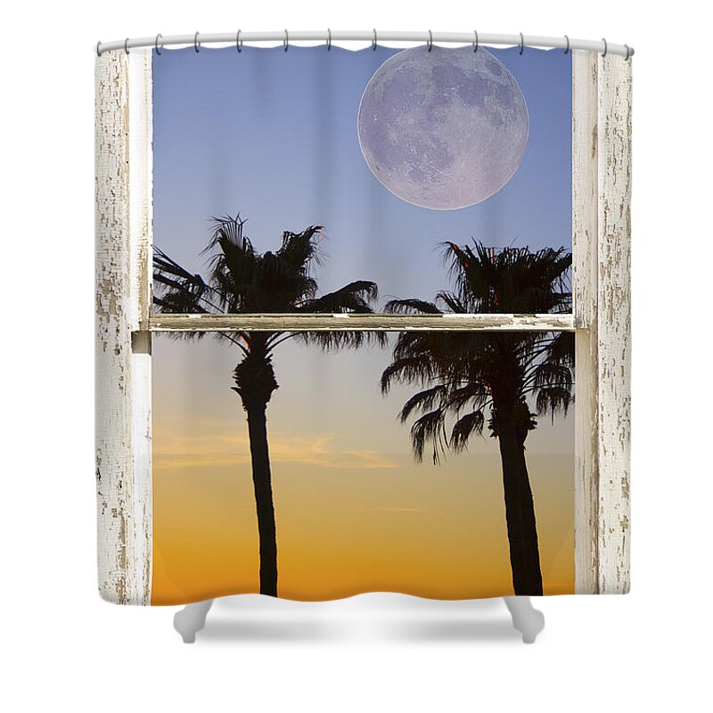 Windows Shower Curtain featuring the photograph Full Moon Palm Tree Picture Window Sunset by James BO Insogna